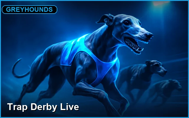 Greyhound Racing Markets 99exch